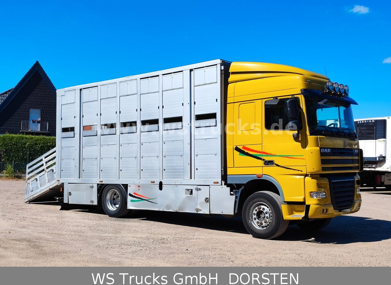 DAF XF 410 SC Menke Doppelstock - Kamion za prijevoz konja: slika DAF XF 410 SC Menke Doppelstock - Kamion za prijevoz konja DAF XF 410 SC Menke Doppelstock - Kamion za prijevoz konja: slika DAF XF 410 SC Menke Doppelstock - Kamion za prijevoz konja