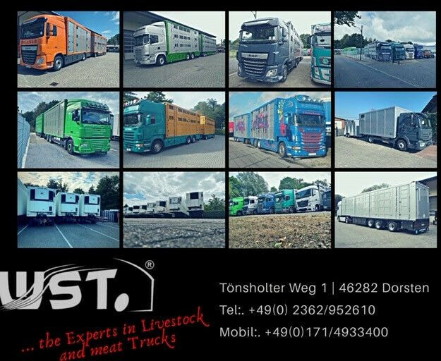 Novi Prikolica hladnjača Getränke  WST Edition Big  3,70m x 1,85m  3,5 to: slika Novi Prikolica hladnjača Getränke  WST Edition Big  3,70m x 1,85m  3,5 to
