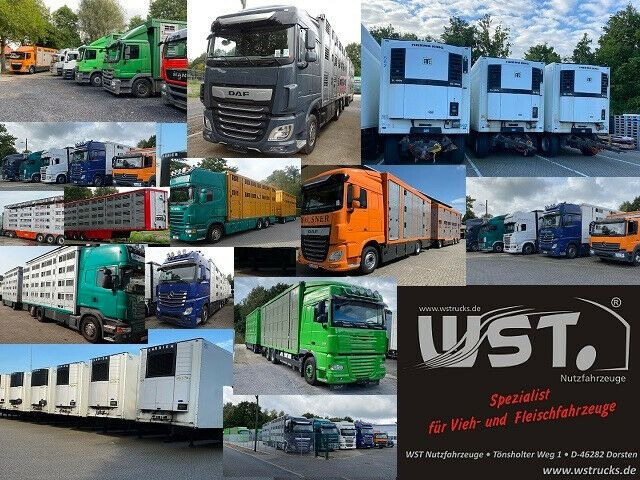 Novi Prikolica hladnjača Getränke  WST Edition Big  3,70m x 1,85m  3,5 to: slika Novi Prikolica hladnjača Getränke  WST Edition Big  3,70m x 1,85m  3,5 to