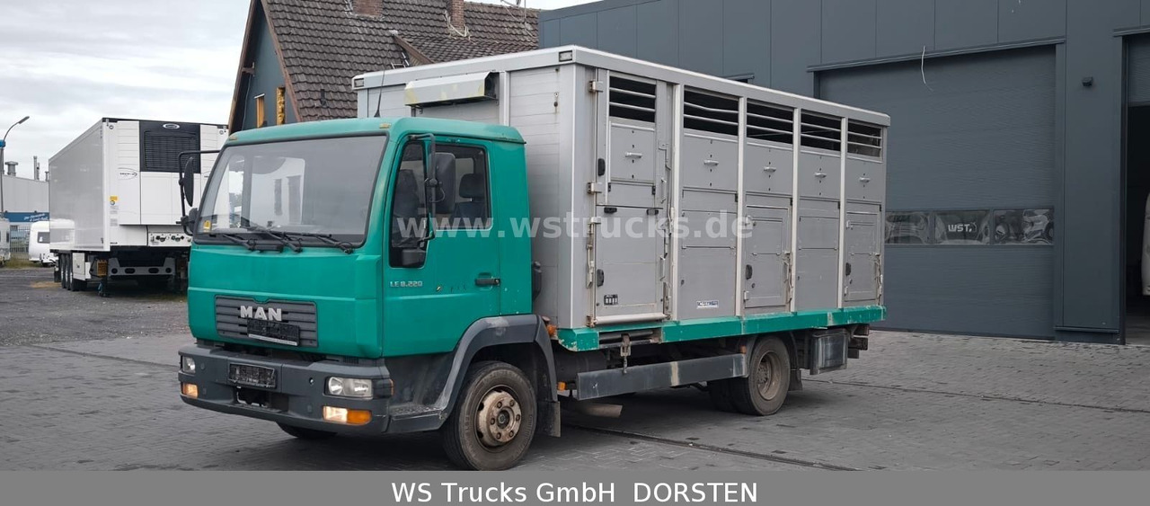 MAN LE 8.220 Menke Einstock Großvieh - Kamion za prijevoz stoke: slika MAN LE 8.220 Menke Einstock Großvieh - Kamion za prijevoz stoke MAN LE 8.220 Menke Einstock Großvieh - Kamion za prijevoz stoke: slika MAN LE 8.220 Menke Einstock Großvieh - Kamion za prijevoz stoke