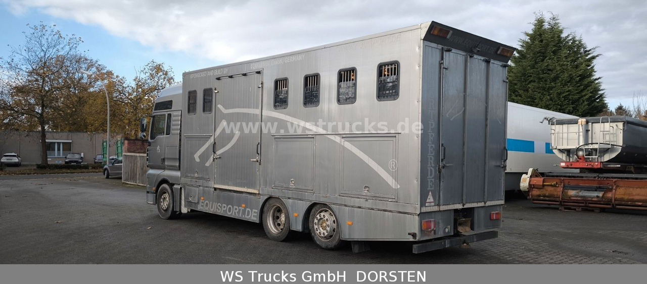 MAN TGA 26.480 FG 6x2 Pferdetransporter Luft/Luft - Kamion za prijevoz konja: slika MAN TGA 26.480 FG 6x2 Pferdetransporter Luft/Luft - Kamion za prijevoz konja MAN TGA 26.480 FG 6x2 Pferdetransporter Luft/Luft - Kamion za prijevoz konja: slika MAN TGA 26.480 FG 6x2 Pferdetransporter Luft/Luft - Kamion za prijevoz konja