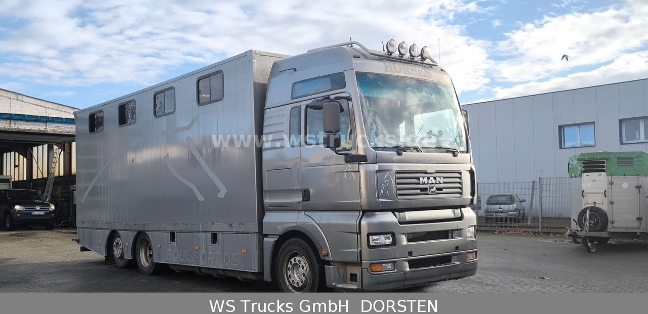 MAN TGA 26.480 FG 6x2 Pferdetransporter Luft/Luft - Kamion za prijevoz konja: slika MAN TGA 26.480 FG 6x2 Pferdetransporter Luft/Luft - Kamion za prijevoz konja MAN TGA 26.480 FG 6x2 Pferdetransporter Luft/Luft - Kamion za prijevoz konja: slika MAN TGA 26.480 FG 6x2 Pferdetransporter Luft/Luft - Kamion za prijevoz konja