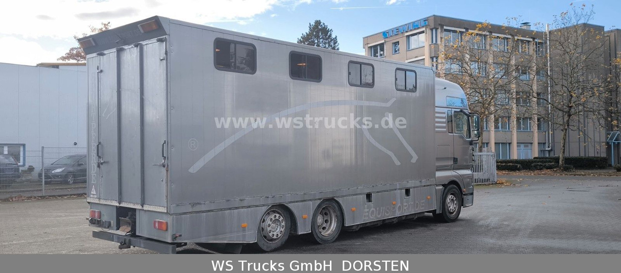MAN TGA 26.480 FG 6x2 Pferdetransporter Luft/Luft - Kamion za prijevoz konja: slika MAN TGA 26.480 FG 6x2 Pferdetransporter Luft/Luft - Kamion za prijevoz konja MAN TGA 26.480 FG 6x2 Pferdetransporter Luft/Luft - Kamion za prijevoz konja: slika MAN TGA 26.480 FG 6x2 Pferdetransporter Luft/Luft - Kamion za prijevoz konja