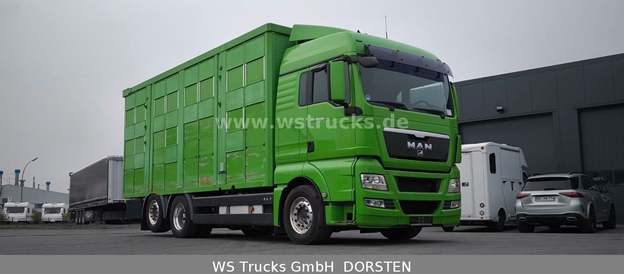 MAN TGX 26.480 XL KABA 3 Stock Viehtransporter - Kamion za prijevoz konja: slika MAN TGX 26.480 XL KABA 3 Stock Viehtransporter - Kamion za prijevoz konja MAN TGX 26.480 XL KABA 3 Stock Viehtransporter - Kamion za prijevoz konja: slika MAN TGX 26.480 XL KABA 3 Stock Viehtransporter - Kamion za prijevoz konja