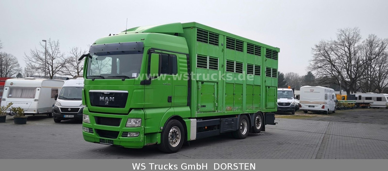 MAN TGX 26.480 XL KABA 3 Stock Vollalu - Kamion za prijevoz konja: slika MAN TGX 26.480 XL KABA 3 Stock Vollalu - Kamion za prijevoz konja MAN TGX 26.480 XL KABA 3 Stock Vollalu - Kamion za prijevoz konja: slika MAN TGX 26.480 XL KABA 3 Stock Vollalu - Kamion za prijevoz konja