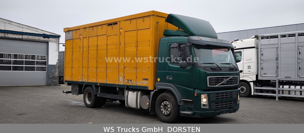 Volvo FM 260 mit KABA 2 Stock Vollalu - Kamion za prijevoz konja: slika Volvo FM 260 mit KABA 2 Stock Vollalu - Kamion za prijevoz konja Volvo FM 260 mit KABA 2 Stock Vollalu - Kamion za prijevoz konja: slika Volvo FM 260 mit KABA 2 Stock Vollalu - Kamion za prijevoz konja