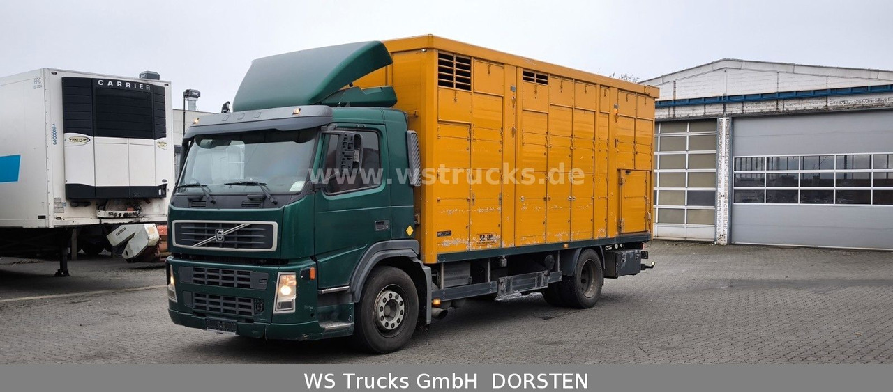 Volvo FM 260 mit KABA 2 Stock Vollalu - Kamion za prijevoz konja: slika Volvo FM 260 mit KABA 2 Stock Vollalu - Kamion za prijevoz konja Volvo FM 260 mit KABA 2 Stock Vollalu - Kamion za prijevoz konja: slika Volvo FM 260 mit KABA 2 Stock Vollalu - Kamion za prijevoz konja