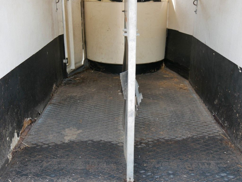 Prikolica za konje Westfalia Vollpoly 2 Pferde mit Sattelkammer: slika Prikolica za konje Westfalia Vollpoly 2 Pferde mit Sattelkammer