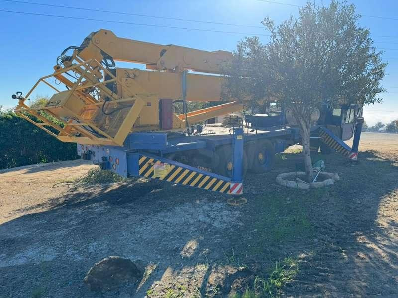 CONDOR 125/S - Autodizalica: slika CONDOR 125/S - Autodizalica CONDOR 125/S - Autodizalica: slika CONDOR 125/S - Autodizalica