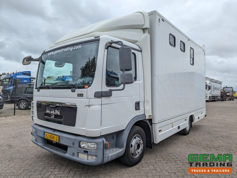 MAN TGL 12.250 4x2 Euro5 EEV RC HorseTruck - 2a3 Paards - 135.000km - MARGE (V821) - Kamion za prijevoz konja: slika MAN TGL 12.250 4x2 Euro5 EEV RC HorseTruck - 2a3 Paards - 135.000km - MARGE (V821) - Kamion za prijevoz konja MAN TGL 12.250 4x2 Euro5 EEV RC HorseTruck - 2a3 Paards - 135.000km - MARGE (V821) - Kamion za prijevoz konja: slika MAN TGL 12.250 4x2 Euro5 EEV RC HorseTruck - 2a3 Paards - 135.000km - MARGE (V821) - Kamion za prijevoz konja