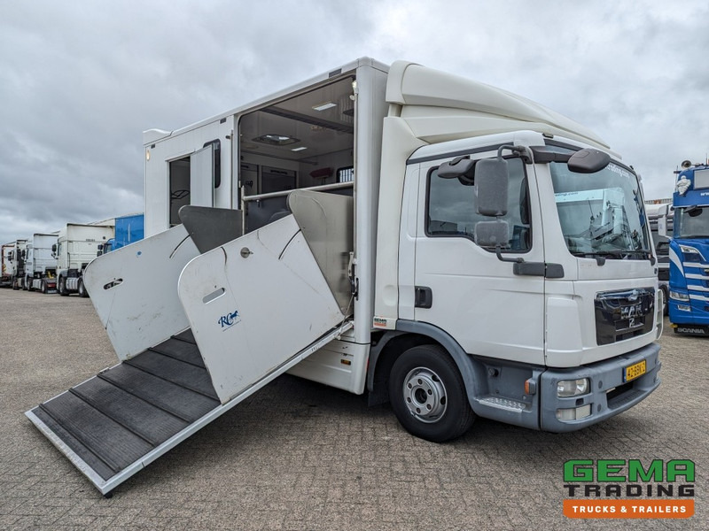 MAN TGL 12.250 4x2 Euro5 EEV RC HorseTruck - 2a3 Paards - 135.000km - MARGE (V821) - Kamion za prijevoz konja: slika MAN TGL 12.250 4x2 Euro5 EEV RC HorseTruck - 2a3 Paards - 135.000km - MARGE (V821) - Kamion za prijevoz konja MAN TGL 12.250 4x2 Euro5 EEV RC HorseTruck - 2a3 Paards - 135.000km - MARGE (V821) - Kamion za prijevoz konja: slika MAN TGL 12.250 4x2 Euro5 EEV RC HorseTruck - 2a3 Paards - 135.000km - MARGE (V821) - Kamion za prijevoz konja