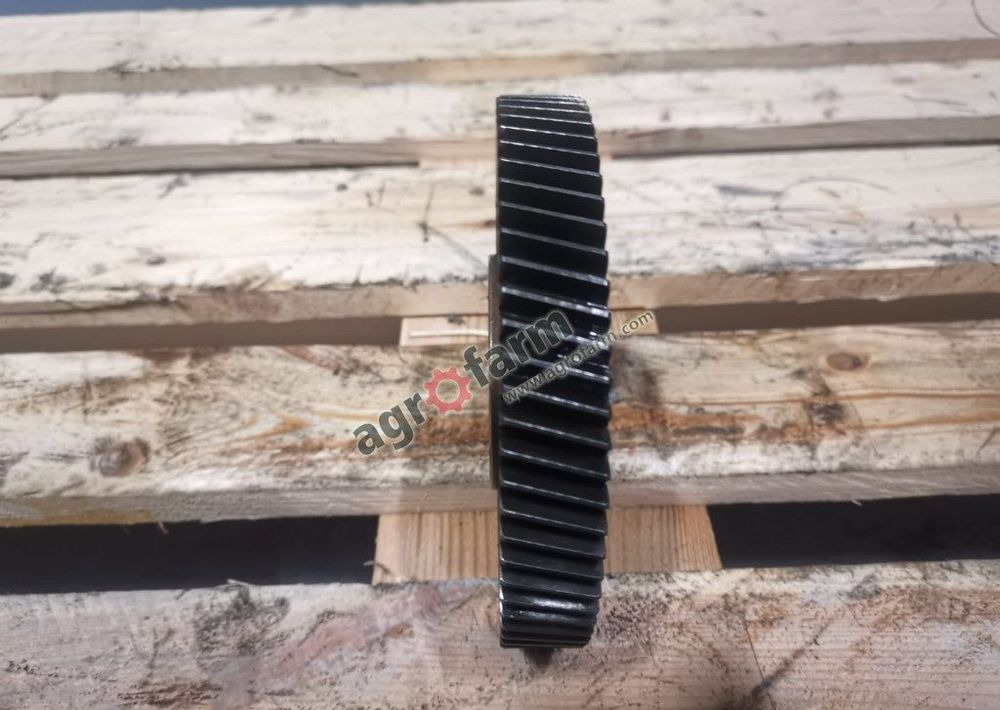 KOŁO ZĘBATE ROZRZĄDU MASSEY 5425, 6445, 7465 - Motor za Kamion: slika  KOŁO ZĘBATE ROZRZĄDU MASSEY 5425, 6445, 7465 - Motor za Kamion KOŁO ZĘBATE ROZRZĄDU MASSEY 5425, 6445, 7465 - Motor za Kamion: slika  KOŁO ZĘBATE ROZRZĄDU MASSEY 5425, 6445, 7465 - Motor za Kamion