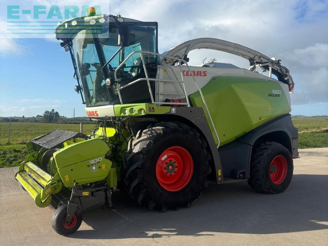 CLAAS USED JAGUAR 880 - Silažni kombajn: slika CLAAS USED JAGUAR 880 - Silažni kombajn CLAAS USED JAGUAR 880 - Silažni kombajn: slika CLAAS USED JAGUAR 880 - Silažni kombajn