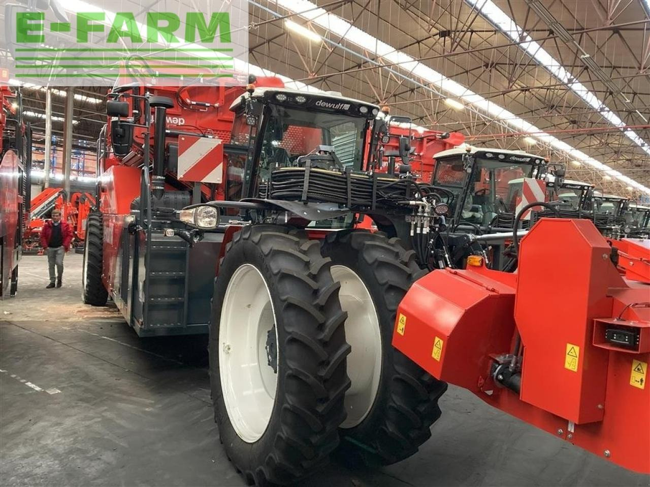 Dewulf rqa3060 - topkæde - Kombajn za krumpir: slika Dewulf rqa3060 - topkæde - Kombajn za krumpir Dewulf rqa3060 - topkæde - Kombajn za krumpir: slika Dewulf rqa3060 - topkæde - Kombajn za krumpir