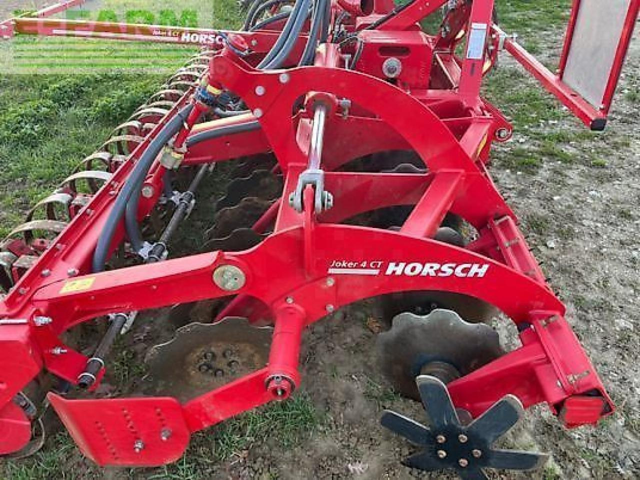 Horsch joker 4 ct - Tanjurača: slika Horsch joker 4 ct - Tanjurača Horsch joker 4 ct - Tanjurača: slika Horsch joker 4 ct - Tanjurača