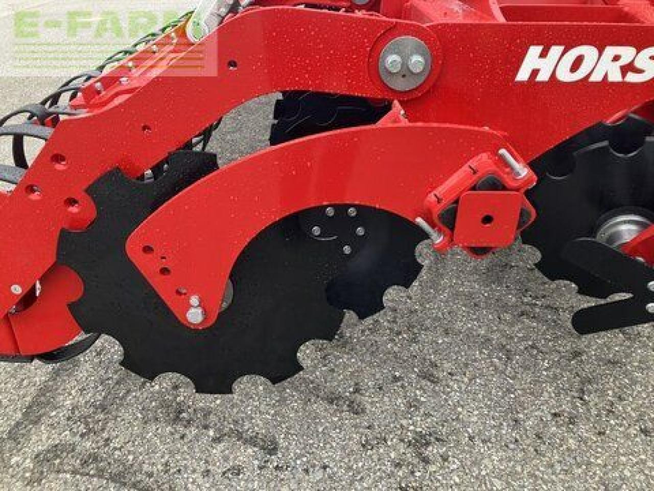 Tanjurača Horsch joker 4 ct: slika Tanjurača Horsch joker 4 ct