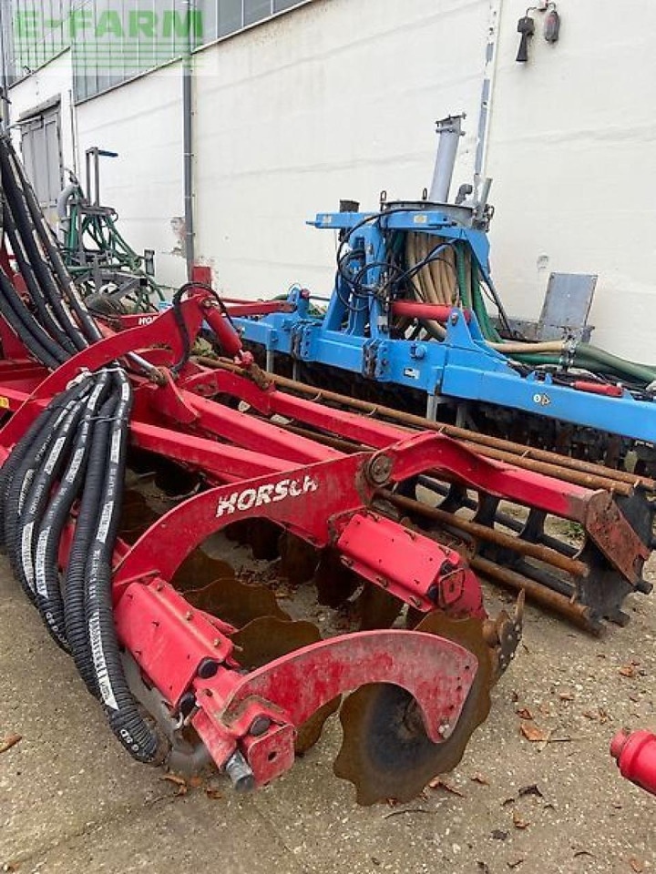 Tanjurača Horsch joker 7 ct: slika Tanjurača Horsch joker 7 ct