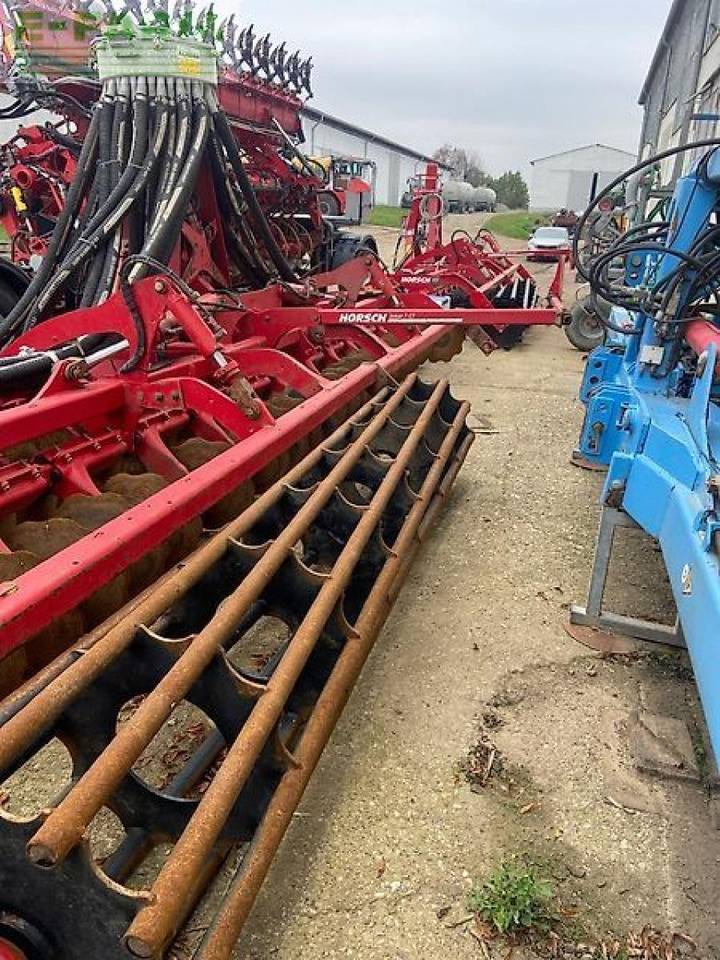 Tanjurača Horsch joker 7 ct: slika Tanjurača Horsch joker 7 ct