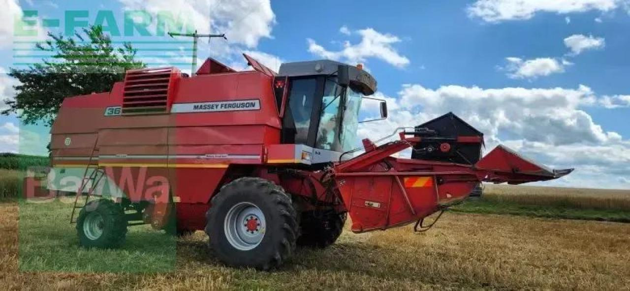 Massey Ferguson mf 36 al - Kombajn za žetvu: slika Massey Ferguson mf 36 al - Kombajn za žetvu Massey Ferguson mf 36 al - Kombajn za žetvu: slika Massey Ferguson mf 36 al - Kombajn za žetvu