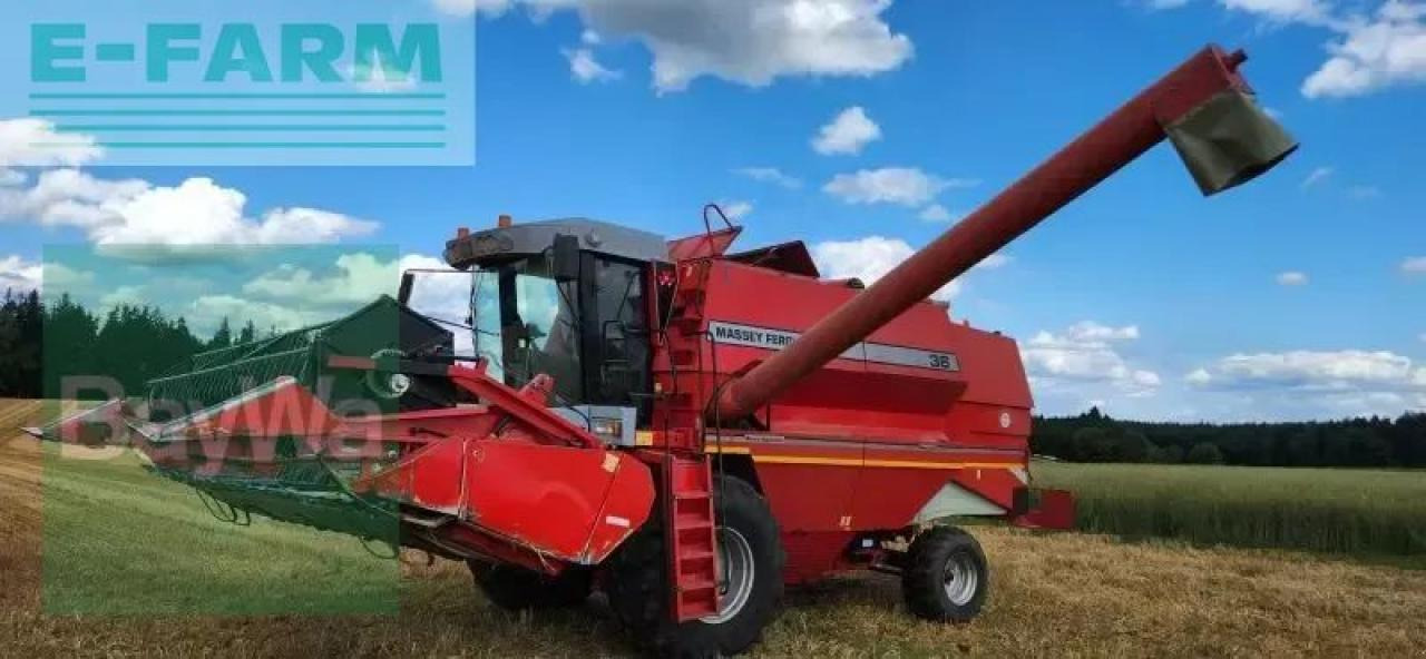 Massey Ferguson mf 36 al - Kombajn za žetvu: slika Massey Ferguson mf 36 al - Kombajn za žetvu Massey Ferguson mf 36 al - Kombajn za žetvu: slika Massey Ferguson mf 36 al - Kombajn za žetvu