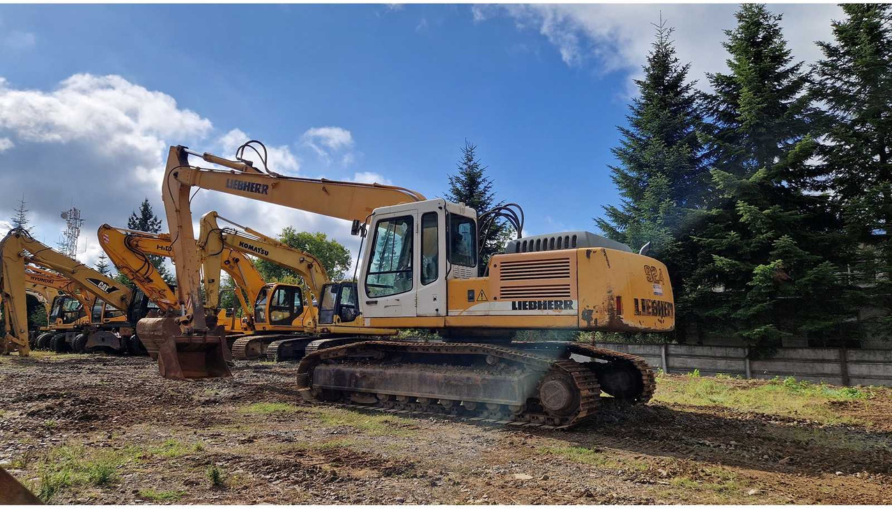 Bager 2006 LIEBHERR R924B LONG REACH TRACKED EXCAVATOR: slika Bager 2006 LIEBHERR R924B LONG REACH TRACKED EXCAVATOR