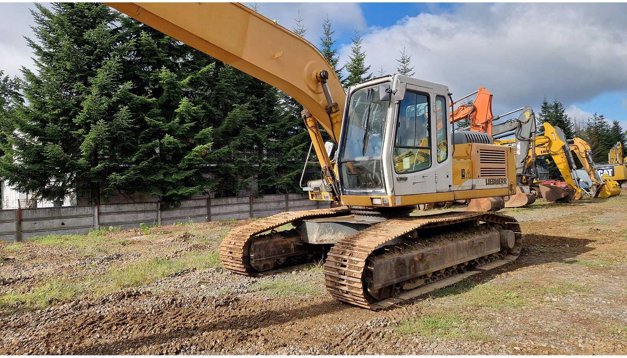 Bager 2006 LIEBHERR R924B LONG REACH TRACKED EXCAVATOR: slika Bager 2006 LIEBHERR R924B LONG REACH TRACKED EXCAVATOR