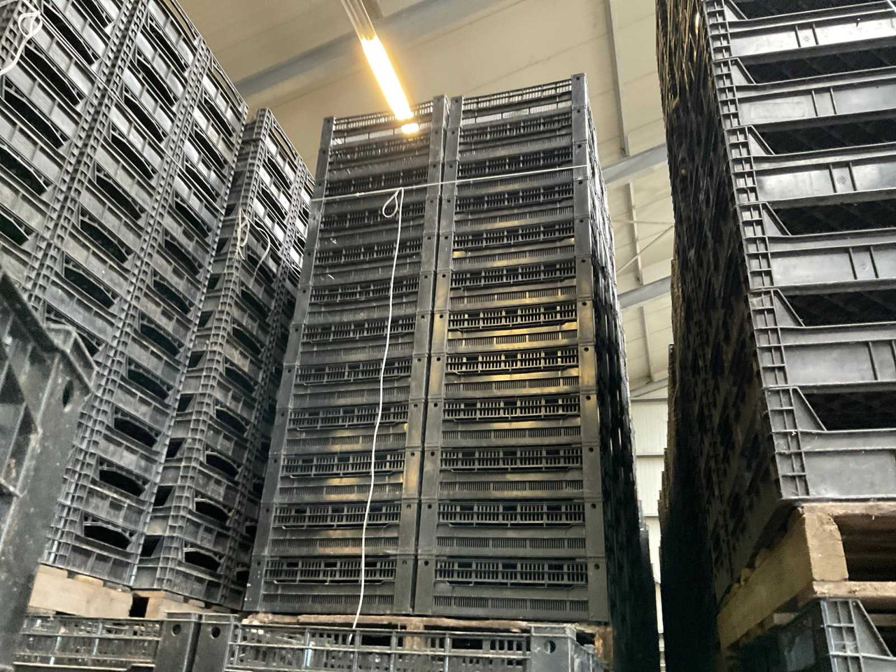 CurTec 595x395x185 - Oprema za obradu nakon žetve: slika CurTec 595x395x185 - Oprema za obradu nakon žetve CurTec 595x395x185 - Oprema za obradu nakon žetve: slika CurTec 595x395x185 - Oprema za obradu nakon žetve