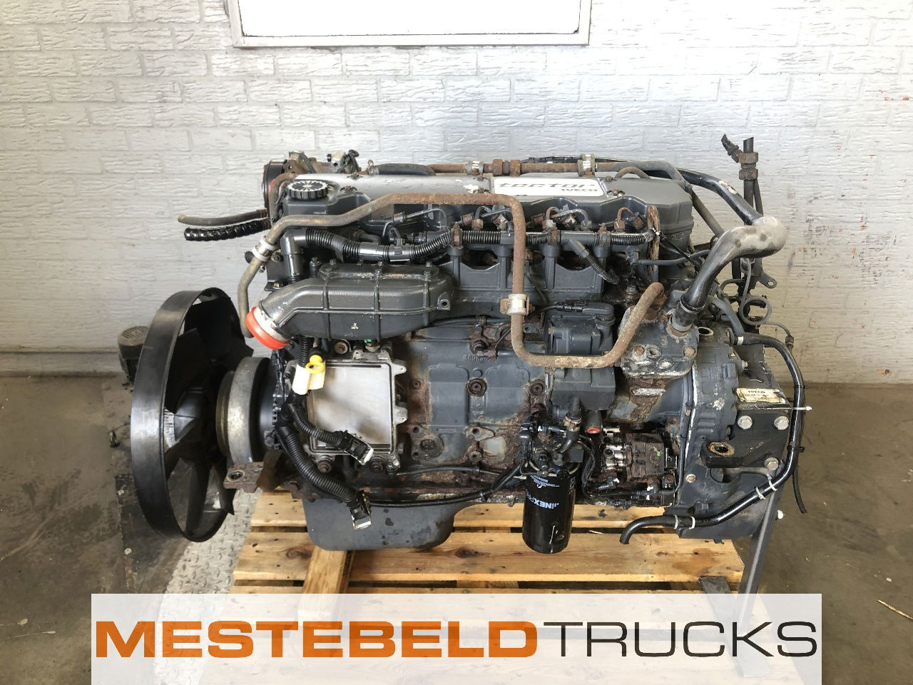 Iveco Motor tector F4AE3681B E4 - Motor za Kamion: slika Iveco Motor tector F4AE3681B E4 - Motor za Kamion Iveco Motor tector F4AE3681B E4 - Motor za Kamion: slika Iveco Motor tector F4AE3681B E4 - Motor za Kamion