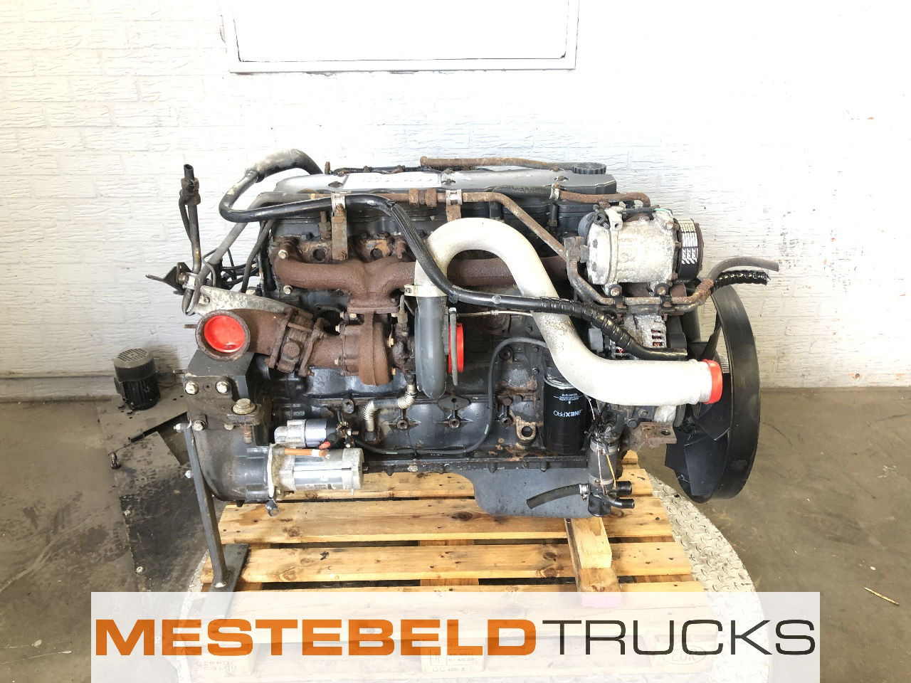 Iveco Motor tector F4AE3681B E4 - Motor za Kamion: slika Iveco Motor tector F4AE3681B E4 - Motor za Kamion Iveco Motor tector F4AE3681B E4 - Motor za Kamion: slika Iveco Motor tector F4AE3681B E4 - Motor za Kamion