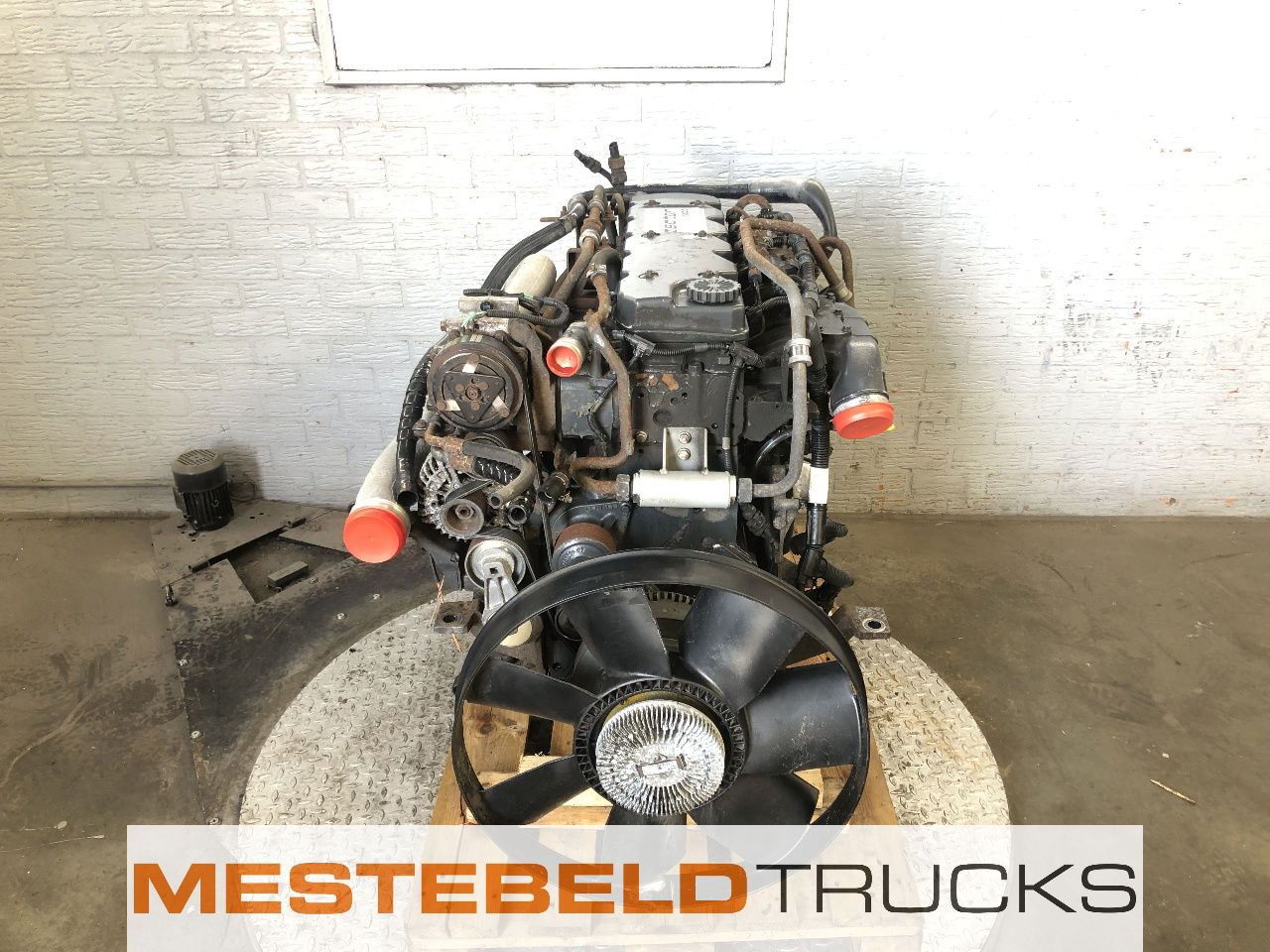 Iveco Motor tector F4AE3681B E4 - Motor za Kamion: slika Iveco Motor tector F4AE3681B E4 - Motor za Kamion Iveco Motor tector F4AE3681B E4 - Motor za Kamion: slika Iveco Motor tector F4AE3681B E4 - Motor za Kamion