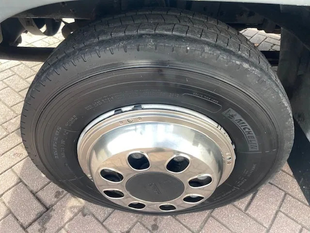 Kamion za prijevoz konja DAF LF 45.130 CLEAN HORSES NL-TRUCK: slika Kamion za prijevoz konja DAF LF 45.130 CLEAN HORSES NL-TRUCK