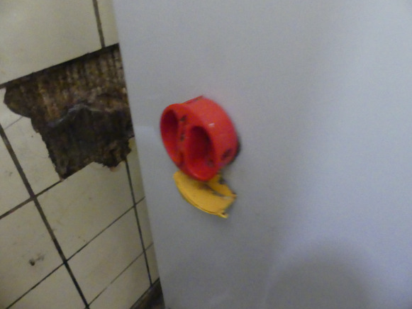 Batteur Kaplain BT40F - Oprema za prehrambenu industriju: slika Batteur Kaplain BT40F - Oprema za prehrambenu industriju Batteur Kaplain BT40F - Oprema za prehrambenu industriju: slika Batteur Kaplain BT40F - Oprema za prehrambenu industriju