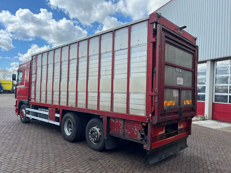 DAF XF FAR 95XF.380 EURO 2 - Kamion za prijevoz stoke: slika DAF XF FAR 95XF.380 EURO 2 - Kamion za prijevoz stoke DAF XF FAR 95XF.380 EURO 2 - Kamion za prijevoz stoke: slika DAF XF FAR 95XF.380 EURO 2 - Kamion za prijevoz stoke