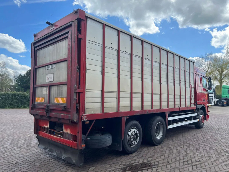 DAF XF FAR 95XF.380 EURO 2 - Kamion za prijevoz stoke: slika DAF XF FAR 95XF.380 EURO 2 - Kamion za prijevoz stoke DAF XF FAR 95XF.380 EURO 2 - Kamion za prijevoz stoke: slika DAF XF FAR 95XF.380 EURO 2 - Kamion za prijevoz stoke