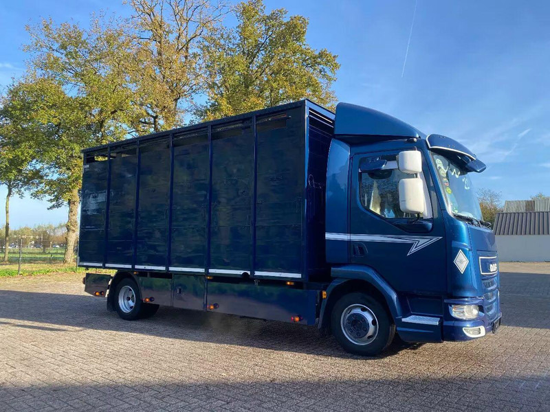 DAF LF 280 - Kamion za prijevoz stoke: slika DAF LF 280 - Kamion za prijevoz stoke DAF LF 280 - Kamion za prijevoz stoke: slika DAF LF 280 - Kamion za prijevoz stoke