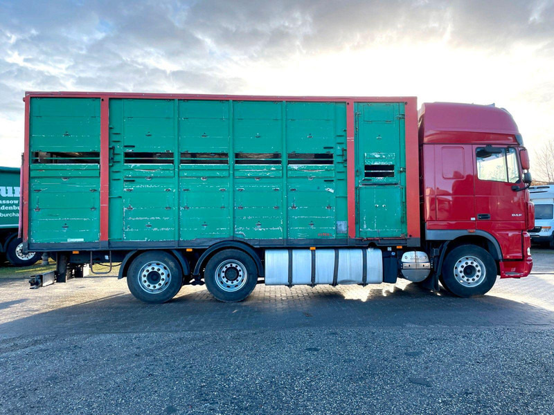 DAF XF 105.460 2-Stock Finkl Viehaufbau / Lenkachs - Kamion za prijevoz stoke: slika DAF XF 105.460 2-Stock Finkl Viehaufbau / Lenkachs - Kamion za prijevoz stoke DAF XF 105.460 2-Stock Finkl Viehaufbau / Lenkachs - Kamion za prijevoz stoke: slika DAF XF 105.460 2-Stock Finkl Viehaufbau / Lenkachs - Kamion za prijevoz stoke