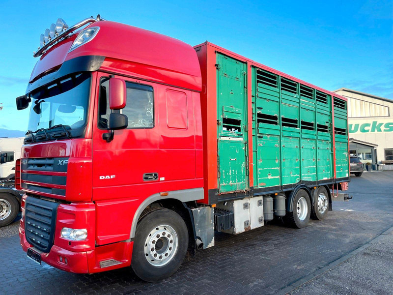 DAF XF 105.460 2-Stock Finkl Viehaufbau / Lenkachs - Kamion za prijevoz stoke: slika DAF XF 105.460 2-Stock Finkl Viehaufbau / Lenkachs - Kamion za prijevoz stoke DAF XF 105.460 2-Stock Finkl Viehaufbau / Lenkachs - Kamion za prijevoz stoke: slika DAF XF 105.460 2-Stock Finkl Viehaufbau / Lenkachs - Kamion za prijevoz stoke