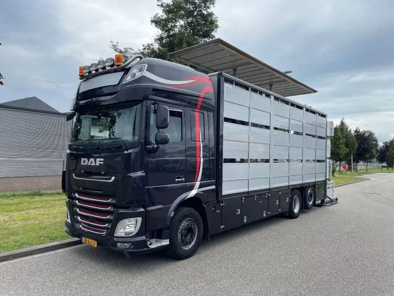 DAF XF 460 - Animal transporter - Kamion za prijevoz stoke: slika DAF XF 460 - Animal transporter - Kamion za prijevoz stoke DAF XF 460 - Animal transporter - Kamion za prijevoz stoke: slika DAF XF 460 - Animal transporter - Kamion za prijevoz stoke