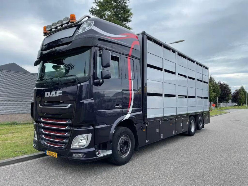 DAF XF 460 - Animal transporter - Kamion za prijevoz stoke: slika DAF XF 460 - Animal transporter - Kamion za prijevoz stoke DAF XF 460 - Animal transporter - Kamion za prijevoz stoke: slika DAF XF 460 - Animal transporter - Kamion za prijevoz stoke
