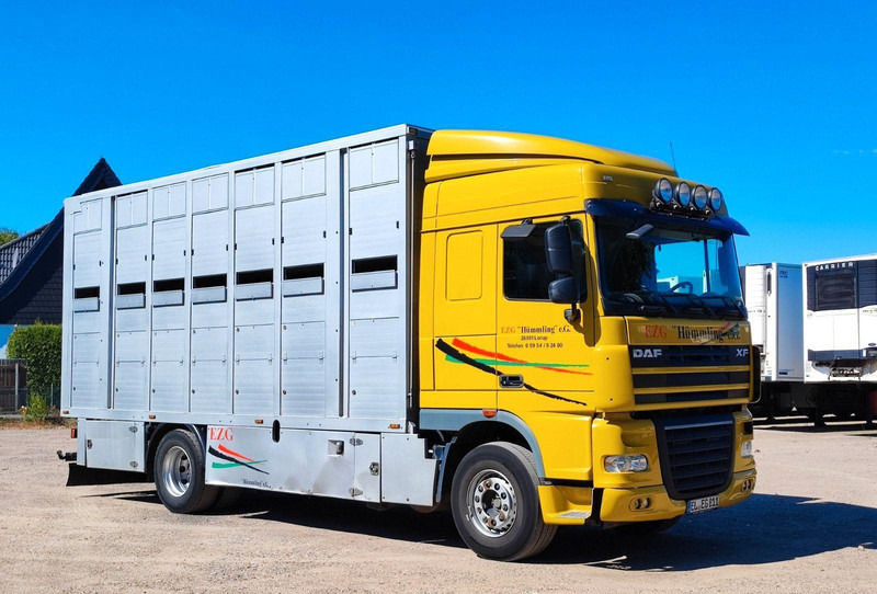 DAF XF410 Menke Doppelstock - Kamion za prijevoz stoke: slika DAF XF410 Menke Doppelstock - Kamion za prijevoz stoke DAF XF410 Menke Doppelstock - Kamion za prijevoz stoke: slika DAF XF410 Menke Doppelstock - Kamion za prijevoz stoke