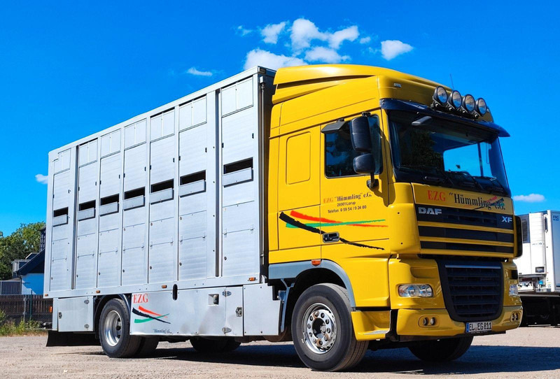DAF XF410 Menke Doppelstock - Kamion za prijevoz stoke: slika DAF XF410 Menke Doppelstock - Kamion za prijevoz stoke DAF XF410 Menke Doppelstock - Kamion za prijevoz stoke: slika DAF XF410 Menke Doppelstock - Kamion za prijevoz stoke