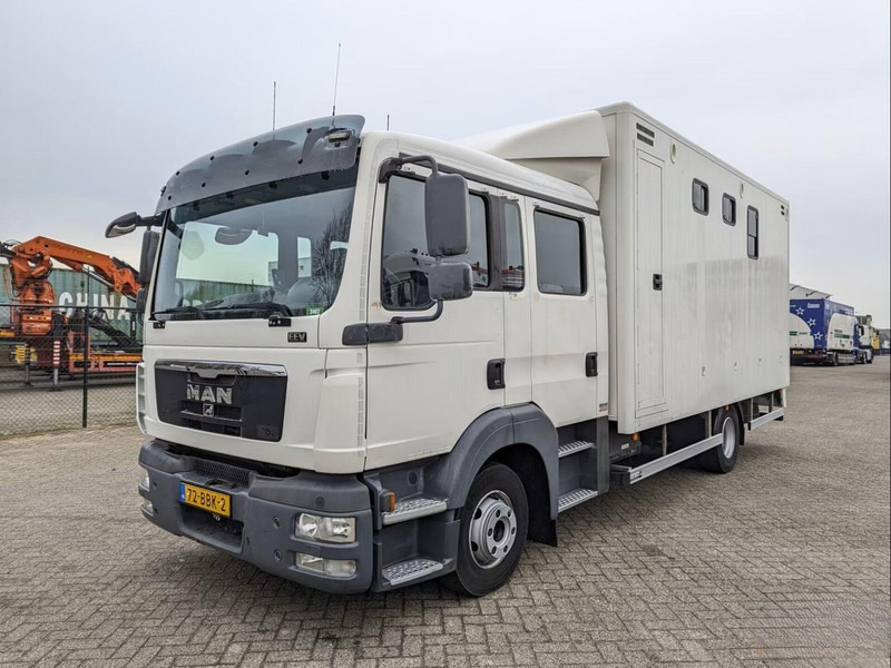 MAN TGL 12.180 - Doka Horse transporter - Kamion za prijevoz konja: slika MAN TGL 12.180 - Doka Horse transporter - Kamion za prijevoz konja MAN TGL 12.180 - Doka Horse transporter - Kamion za prijevoz konja: slika MAN TGL 12.180 - Doka Horse transporter - Kamion za prijevoz konja