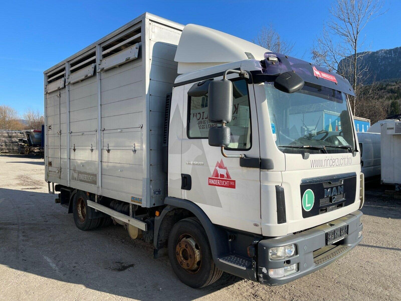 MAN TGL 12.220 - Kamion za prijevoz stoke: slika MAN TGL 12.220 - Kamion za prijevoz stoke MAN TGL 12.220 - Kamion za prijevoz stoke: slika MAN TGL 12.220 - Kamion za prijevoz stoke