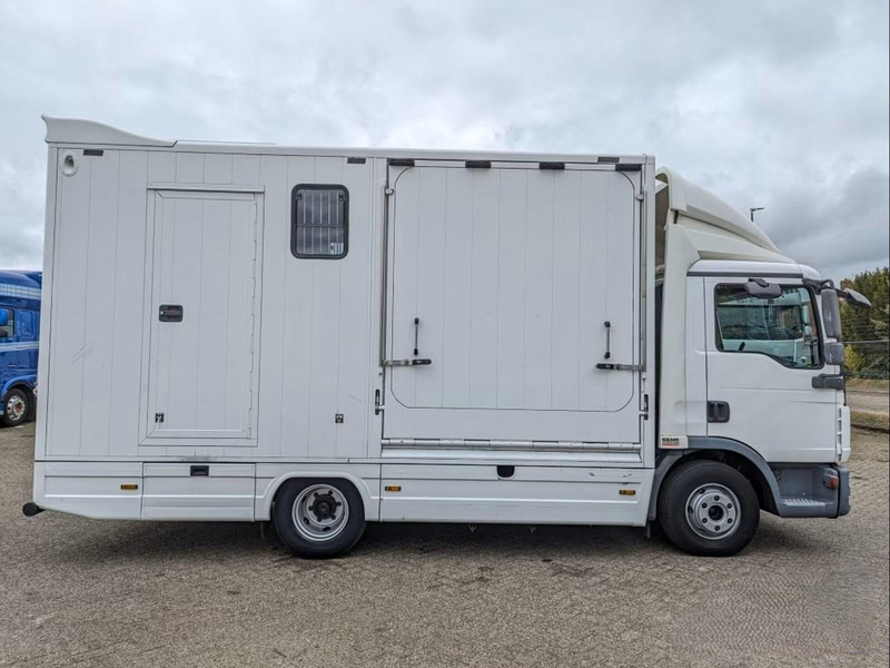 MAN TGL 12.250 - Horse transporter - Kamion za prijevoz konja: slika MAN TGL 12.250 - Horse transporter - Kamion za prijevoz konja MAN TGL 12.250 - Horse transporter - Kamion za prijevoz konja: slika MAN TGL 12.250 - Horse transporter - Kamion za prijevoz konja