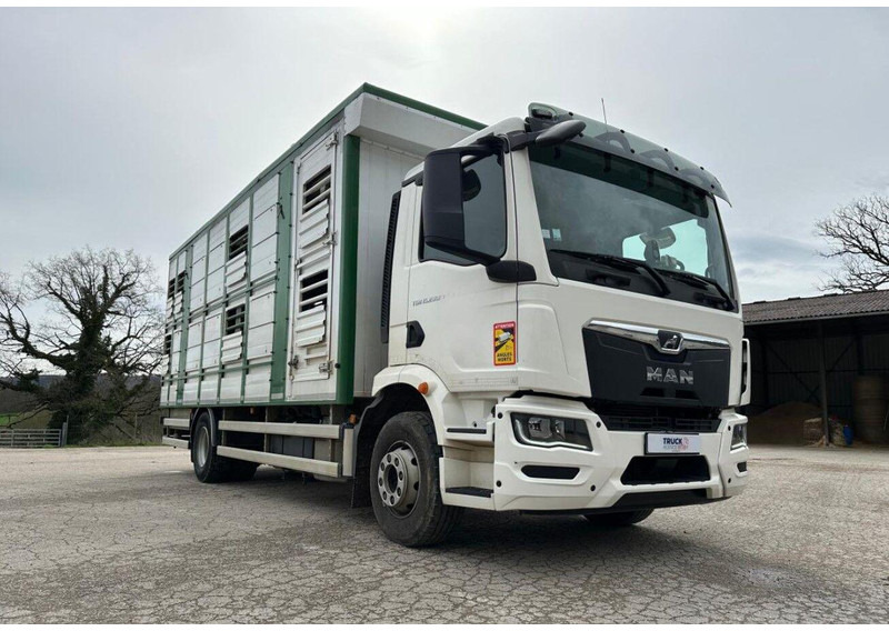 MAN TGM 15.290 Livestock Double Deck - Kamion za prijevoz stoke: slika MAN TGM 15.290 Livestock Double Deck - Kamion za prijevoz stoke MAN TGM 15.290 Livestock Double Deck - Kamion za prijevoz stoke: slika MAN TGM 15.290 Livestock Double Deck - Kamion za prijevoz stoke