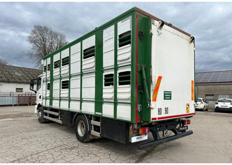 MAN TGM 15.290 Livestock Double Deck - Kamion za prijevoz stoke: slika MAN TGM 15.290 Livestock Double Deck - Kamion za prijevoz stoke MAN TGM 15.290 Livestock Double Deck - Kamion za prijevoz stoke: slika MAN TGM 15.290 Livestock Double Deck - Kamion za prijevoz stoke