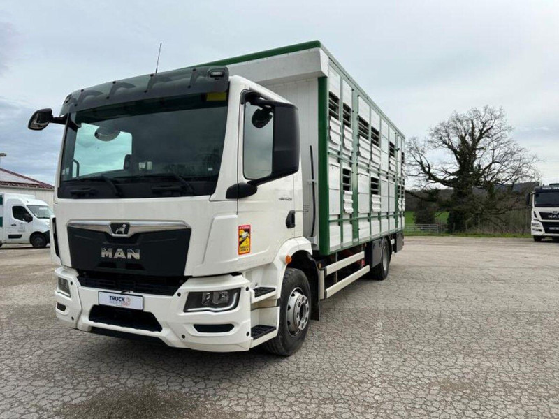 MAN TGM 15.290 Livestock Double Deck - Kamion za prijevoz stoke: slika MAN TGM 15.290 Livestock Double Deck - Kamion za prijevoz stoke MAN TGM 15.290 Livestock Double Deck - Kamion za prijevoz stoke: slika MAN TGM 15.290 Livestock Double Deck - Kamion za prijevoz stoke