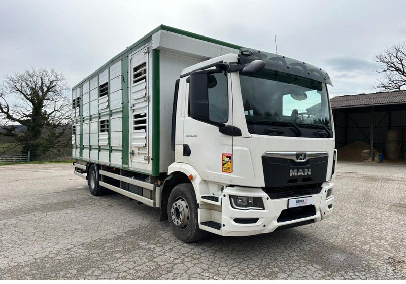 MAN TGM 15.290 Livestock Double Deck - Kamion za prijevoz stoke: slika MAN TGM 15.290 Livestock Double Deck - Kamion za prijevoz stoke MAN TGM 15.290 Livestock Double Deck - Kamion za prijevoz stoke: slika MAN TGM 15.290 Livestock Double Deck - Kamion za prijevoz stoke