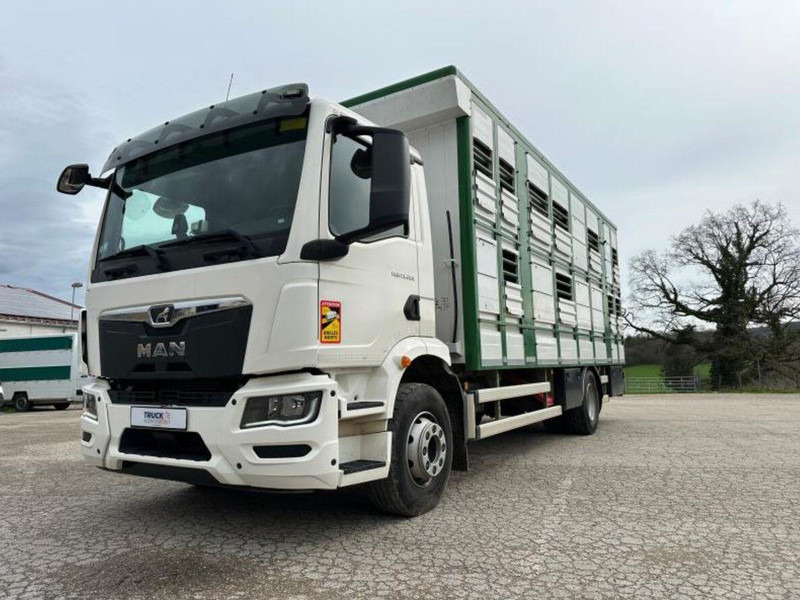 MAN TGM 15.290 Livestock Double Deck - Kamion za prijevoz stoke: slika MAN TGM 15.290 Livestock Double Deck - Kamion za prijevoz stoke MAN TGM 15.290 Livestock Double Deck - Kamion za prijevoz stoke: slika MAN TGM 15.290 Livestock Double Deck - Kamion za prijevoz stoke