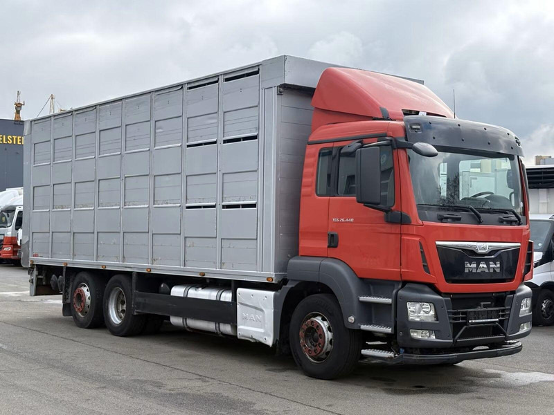 MAN TGS 26.440 - Animal transporter - Kamion za prijevoz stoke: slika MAN TGS 26.440 - Animal transporter - Kamion za prijevoz stoke MAN TGS 26.440 - Animal transporter - Kamion za prijevoz stoke: slika MAN TGS 26.440 - Animal transporter - Kamion za prijevoz stoke